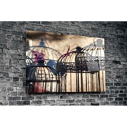 Skleněný obraz Insigne Fran, 72 x 46 cm