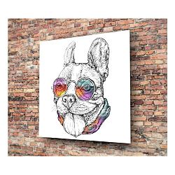 Skleněný obraz Insigne Maremma, 30 x 30 cm