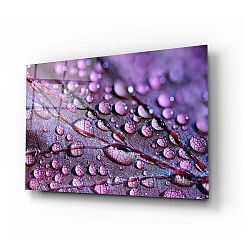 Skleněný obraz Insigne Rain Drops