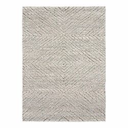 Světle šedý koberec 200x290 cm Atesa – Universal