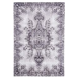 Světle šedý koberec Floorita Jasmine, 200 x 290 cm