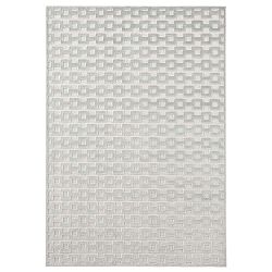 Světle šedý koberec Mint Rugs Shine, 80 x 125 cm