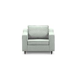 Světle zelené křeslo Mazzini Sofas Narcisse