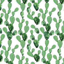 Tapeta na zeď Dekornik Cactus, 50 x 280 cm