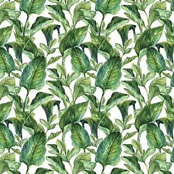 Tapeta na zeď Dekornik Leaves, 50 x 280 cm