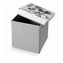 Úložný box Domopak Mickey, délka 30 cm