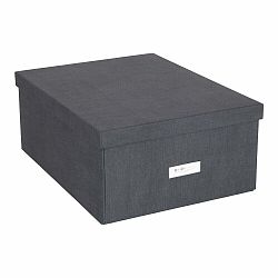 Úložný box s víkem Katrin – Bigso Box of Sweden