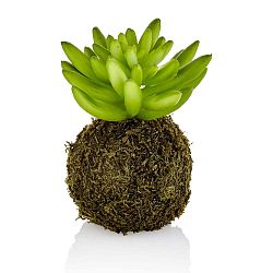 Umělá kokedama se sukulentem The Mia Crasi