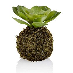 Umělá kokedama se sukulentem The Mia Suca