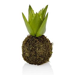 Umělá kokedama se sukulentem The Mia Succu