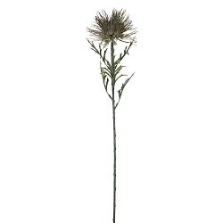 Umělá květina zelená Protea Ego dekor, výška 71 cm