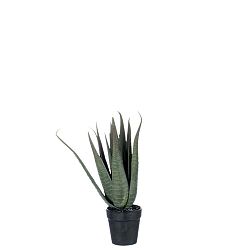 Umělá rostlina J-Line Aloe Vera, výška 36 cm