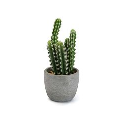 Umělý kaktus v betonovém květináči Versa Pot