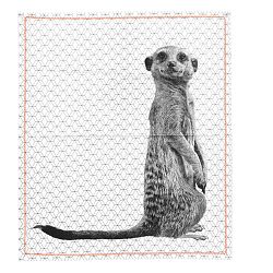 Utěrka Present Time Raster Meerkat