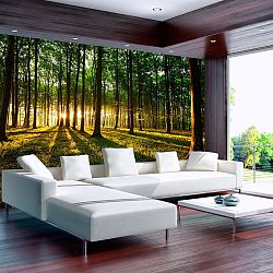 Velkoformátová tapeta Bimago Morning, 400 x 280 cm