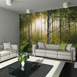 Velkoformátová tapeta Forest, 315 x 232 cm