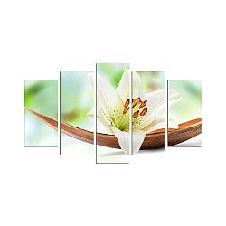 Vícedílný nástěnný obraz Green Lily