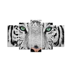Vícedílný nástěnný obraz Snow Tiger