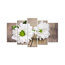Vícedílný nástěnný obraz White Gerbera
