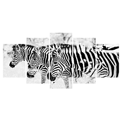 Vícedílný obraz Black&White no. 73, 100x50 cm
