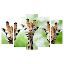 Vícedílný obraz na plátně Animal Giraffe