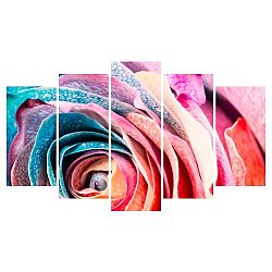 Vícedílný obraz na plátně Multicolor Rose