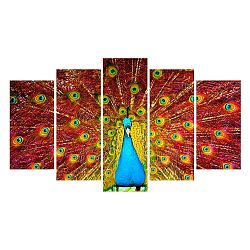 Vícedílný obraz na plátně Peacock