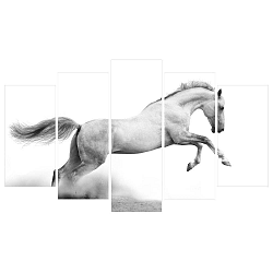 Vícedílný obraz na plátně Running Horse