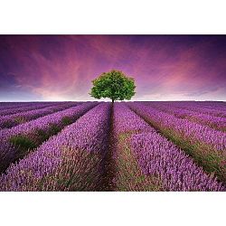 Vinylový předložka Lavender Field, 52 x 75 cm
