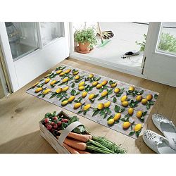 Vysoce odolný běhoun Floorita Limoni, 58 x 140 cm