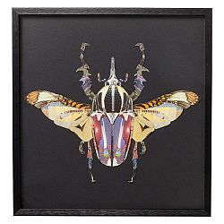 Zarámovaný obraz Kare Design Beetle, 60 x 60 cm