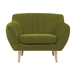 Zelené sametové křeslo Mazzini Sofas Sardaigne
