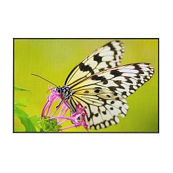 Zelený koberec Oyo home Butterfly, 80 x 140 cm