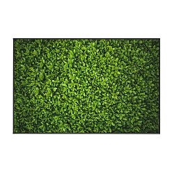 Zelený koberec Oyo home Ivy, 100 x 140 cm