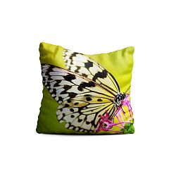 Zelený polštář Oyo home Butterfly, 40 x 40 cm