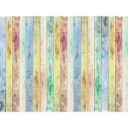 AG Art Fototapeta XXL Rayas 360 x 270 cm, 4 díly     