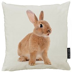 Butter Kings Polštář Rabbit, 50 x 50 cm