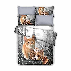 DecoKing Povlečení Anilove Little Pair