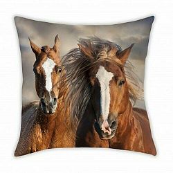 Halantex Polštářek Animals Horses, 40 x 40 cm
