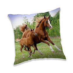 Jerry Fabrics Polštářek Horse brown, 40 x 40 cm