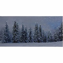 LED Obraz na plátně Atienza, 58 x 28 cm