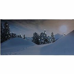 LED Obraz na plátně Rello, 58 x 28 cm
