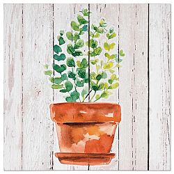 Obraz na plátně Flower in a pot, 28 x 28 x 1,5 cm