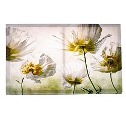 Obraz na plátně Flowers power, 60 x 80 cm