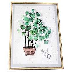 Obraz na plátně v rámu Eucalyptus, 40 x 50 cm