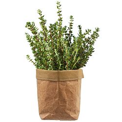Orion Papírový obal na květináč, pr. 16 cm 