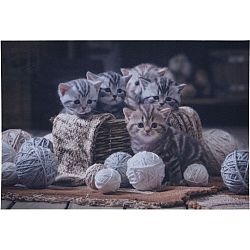 Rohožka Koťata s klubíčky, 38 x 58 cm