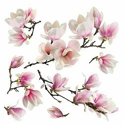 Samolepicí dekorace Magnolia blossom, 30 x 30 cm