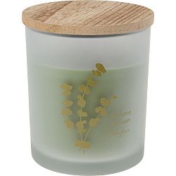 Svíčka ve skle Flora home Eucalyptus, 8,8 x 10 cm