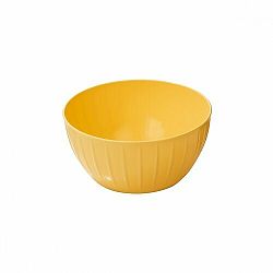 Tescoma Plastová mísa DELÍCIA, 22 cm, 
